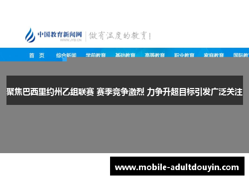 聚焦巴西里约州乙组联赛 赛季竞争激烈 力争升超目标引发广泛关注