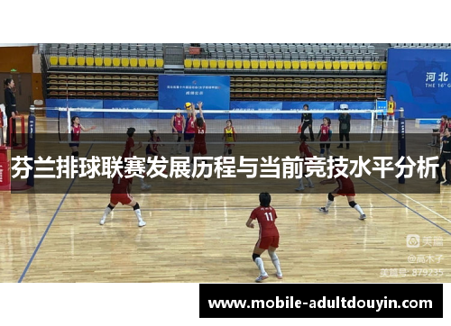 芬兰排球联赛发展历程与当前竞技水平分析