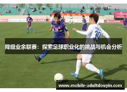 降级业余联赛：探索足球职业化的挑战与机会分析