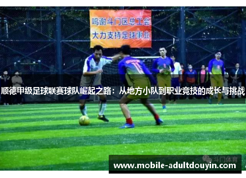顺德甲级足球联赛球队崛起之路：从地方小队到职业竞技的成长与挑战